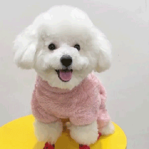 (48% OFF) Fleece Pet Elastic Jumpsuit with Pull Ring