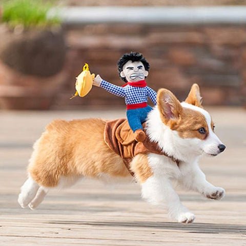 HOT SALE NOW 49% OFF – Dog Costume – Cowboy Rider